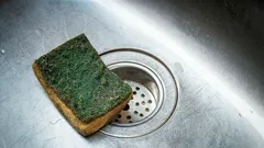 Cosa non va nella classica spugna per i piatti e con cosa sostituirla