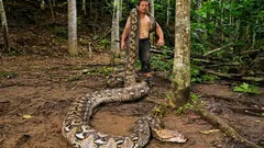 Il serpente record proveniente dall'Indonesia misura 7,22 m: il Guinness ha riconosciuto il serpente più lungo mai misurato in modo attendibile